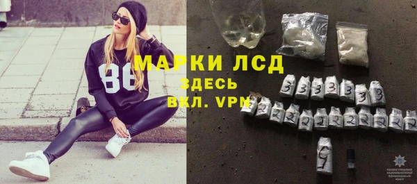 ECSTASY Кукмор