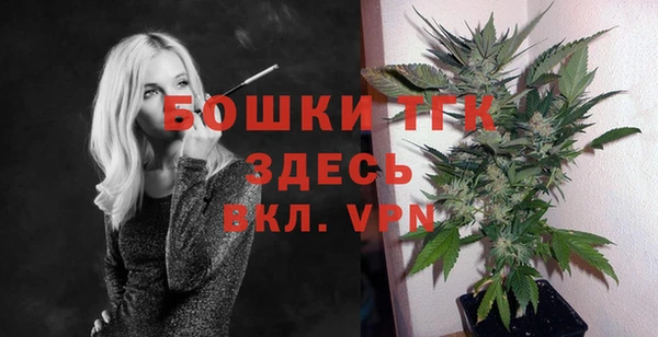ECSTASY Кукмор