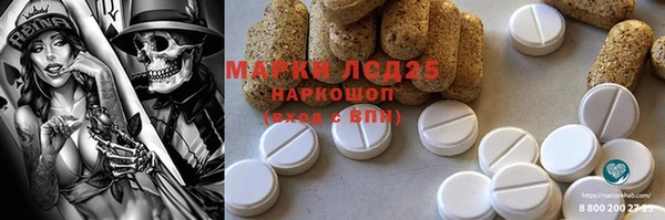 ECSTASY Кукмор